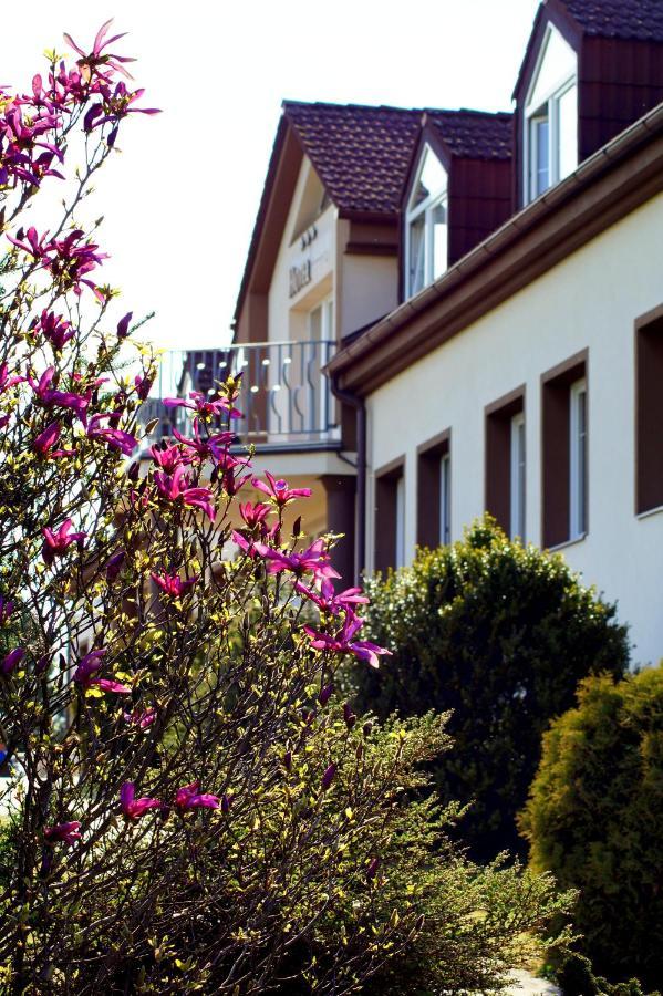 Hotel Brada Йичин Экстерьер фото